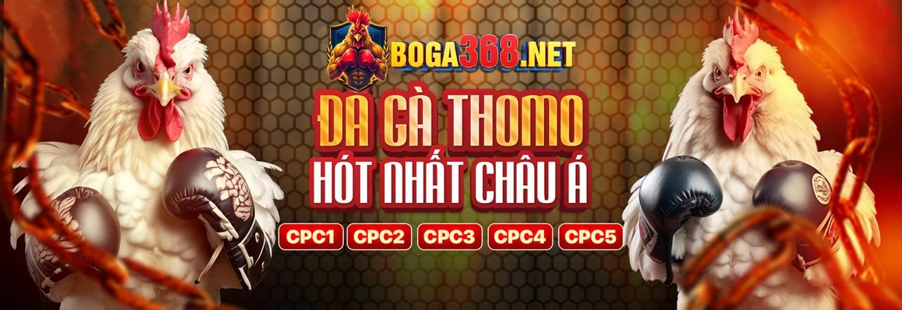 Hình ảnh Chính Sách Cookie của vty05 app