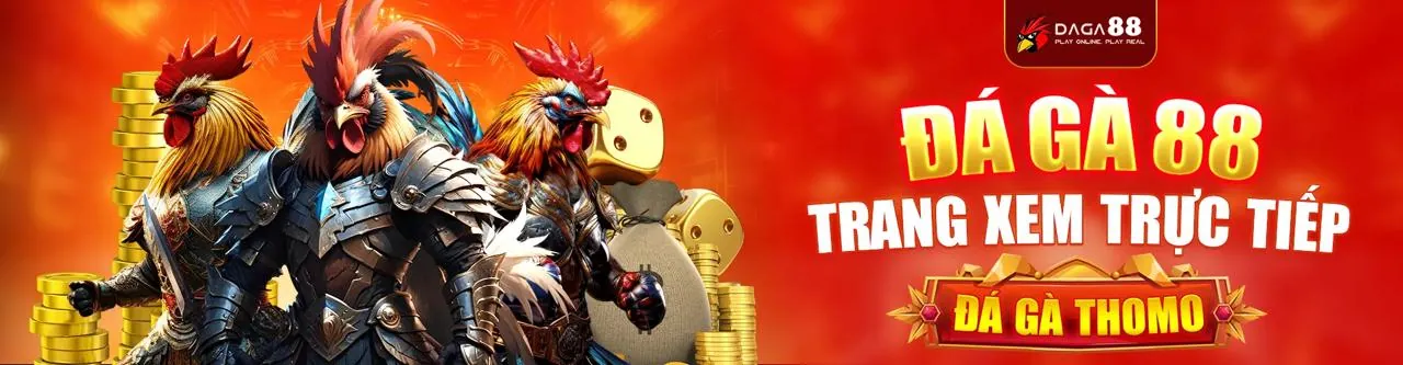Đá gà trực tuyến vty05 app
